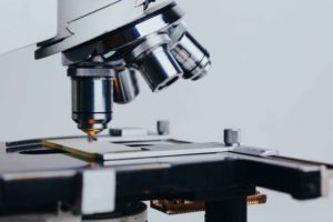 Microscopio