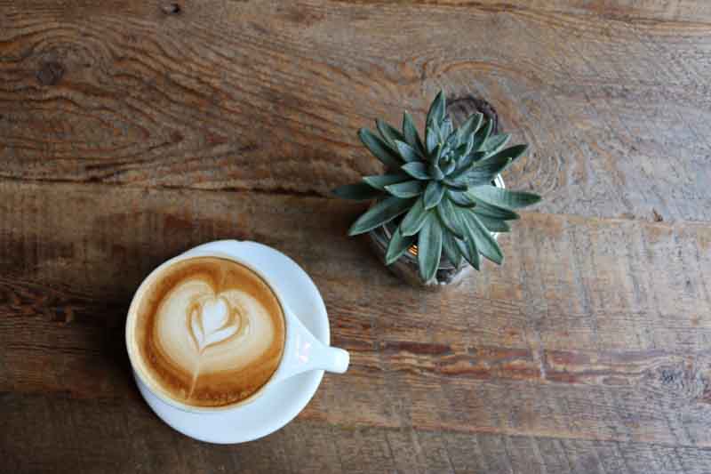 café decorado al lado de una planta