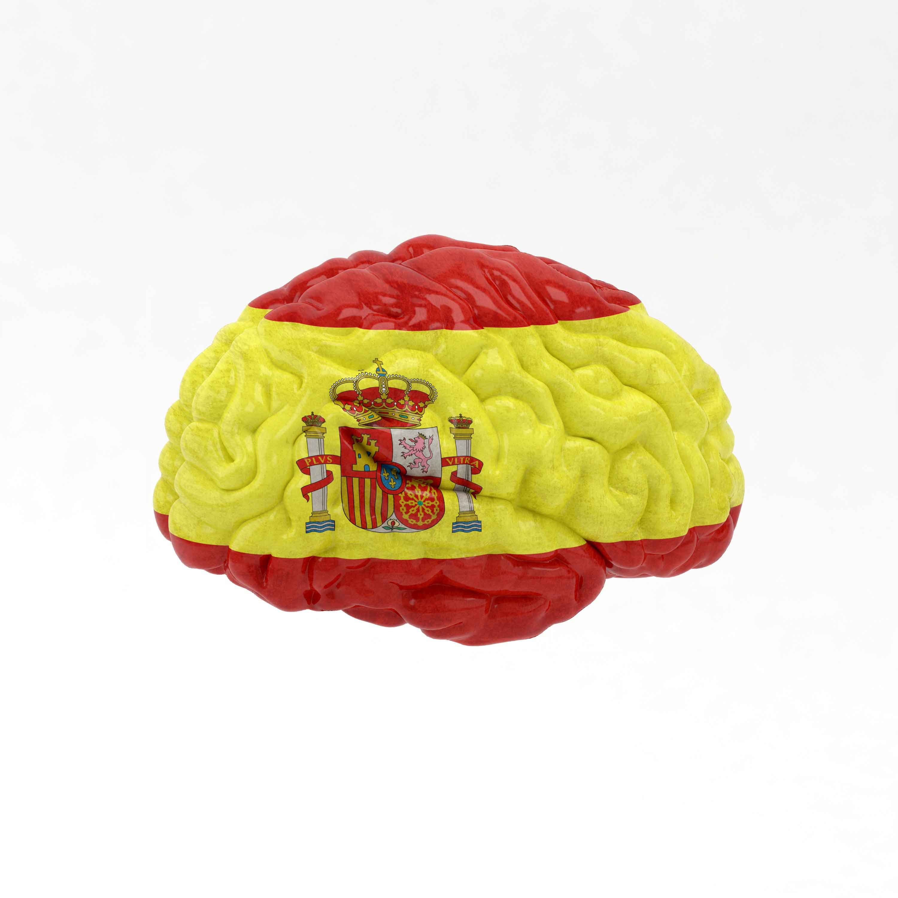 Cerebro con la bandera española