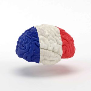 Cerebro con bandera francesa