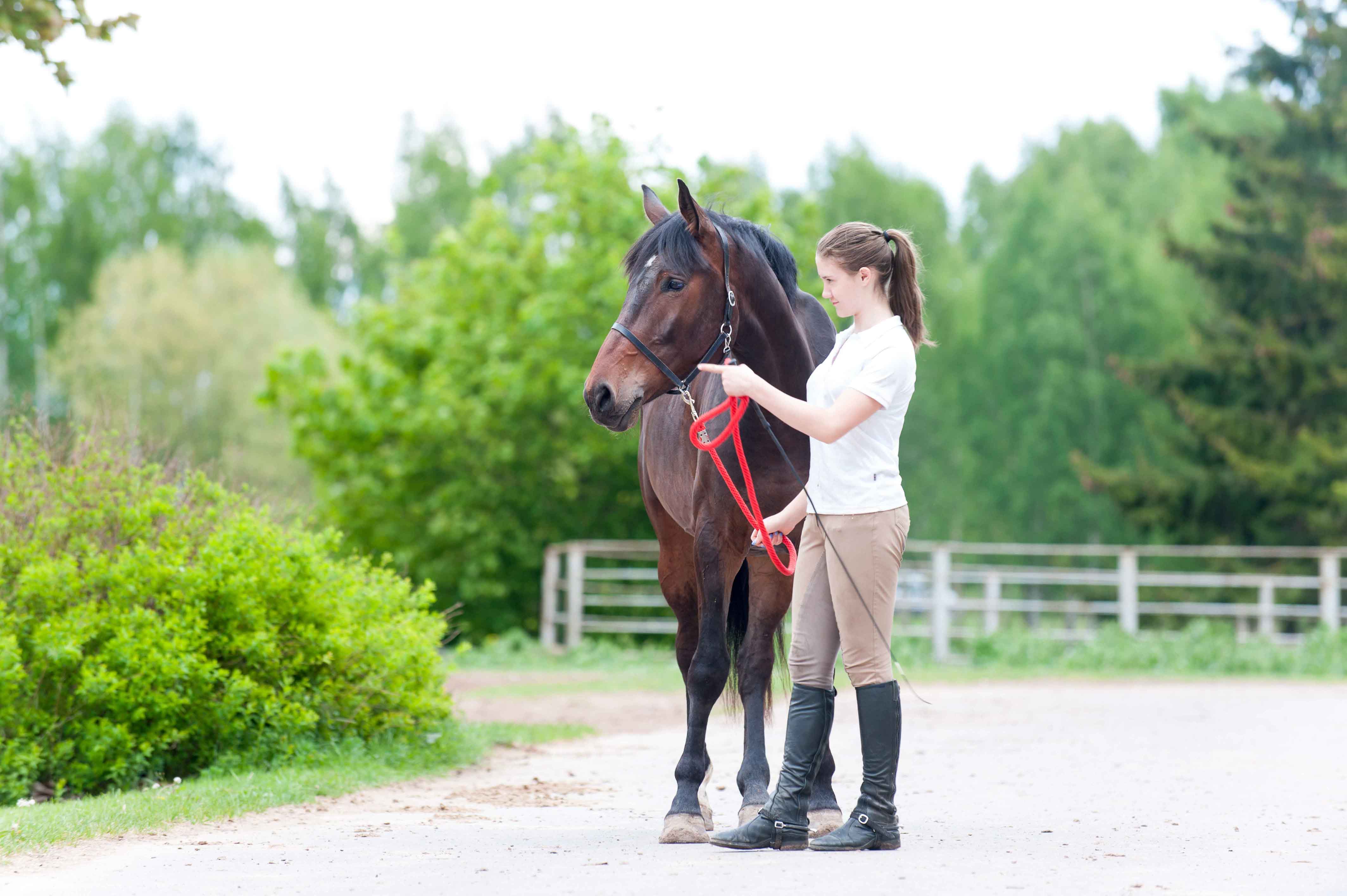 Chica adolescente con traje de hípica al lado de caballo