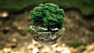 Fotomontaje con árbol y fondo de naturaleza