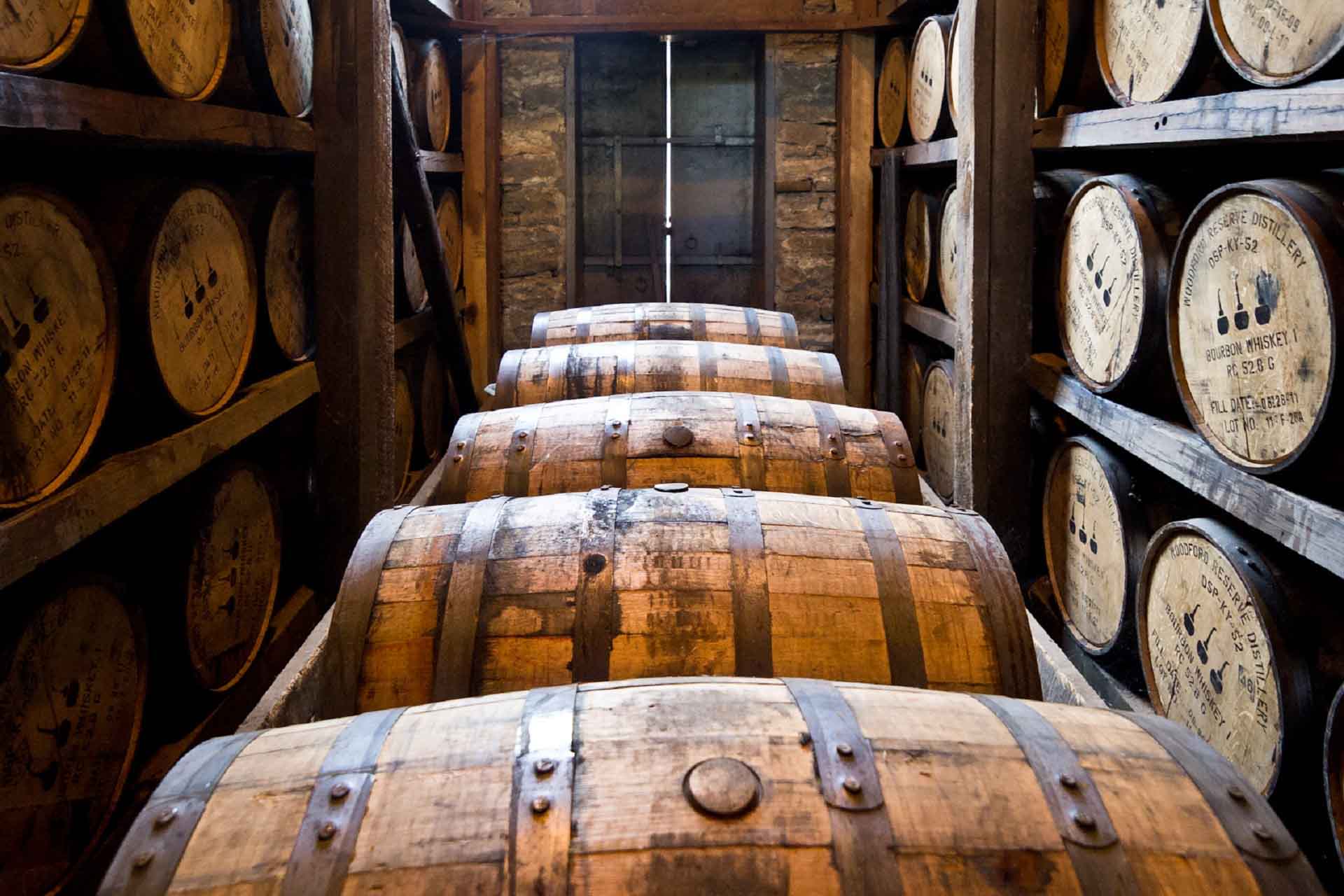 Bodega con barriles de madera