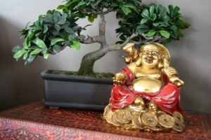 Bonsai al lado de figura de Buddha