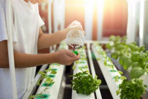 Chica abonando plantas de invernadero con fertilizante