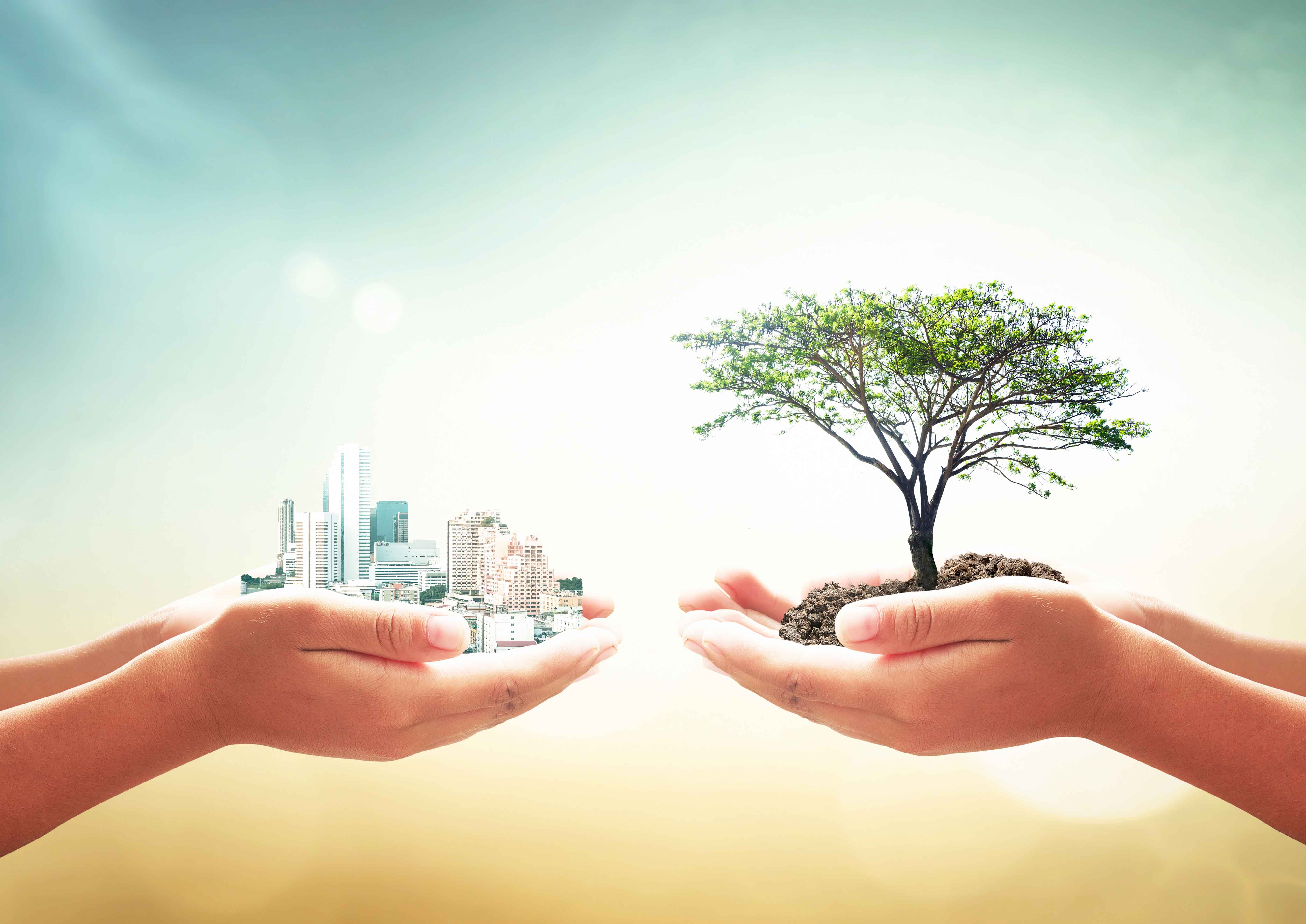 Dos manos sujetando montaje de edificios una y árbol otra