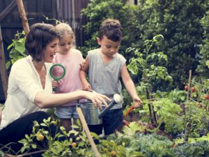 Niños con profesora mirando plantas con una lupa