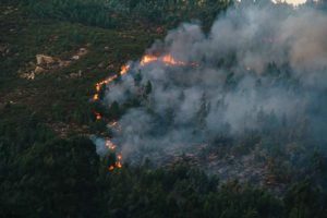 Incendio forestal