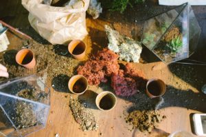 macetas y plantas encima de una mesa