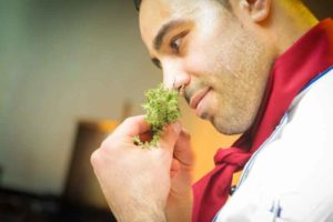 Cocinero oliendo perejil
