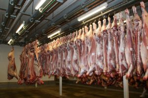 Piezas de carne colgadas en matadero
