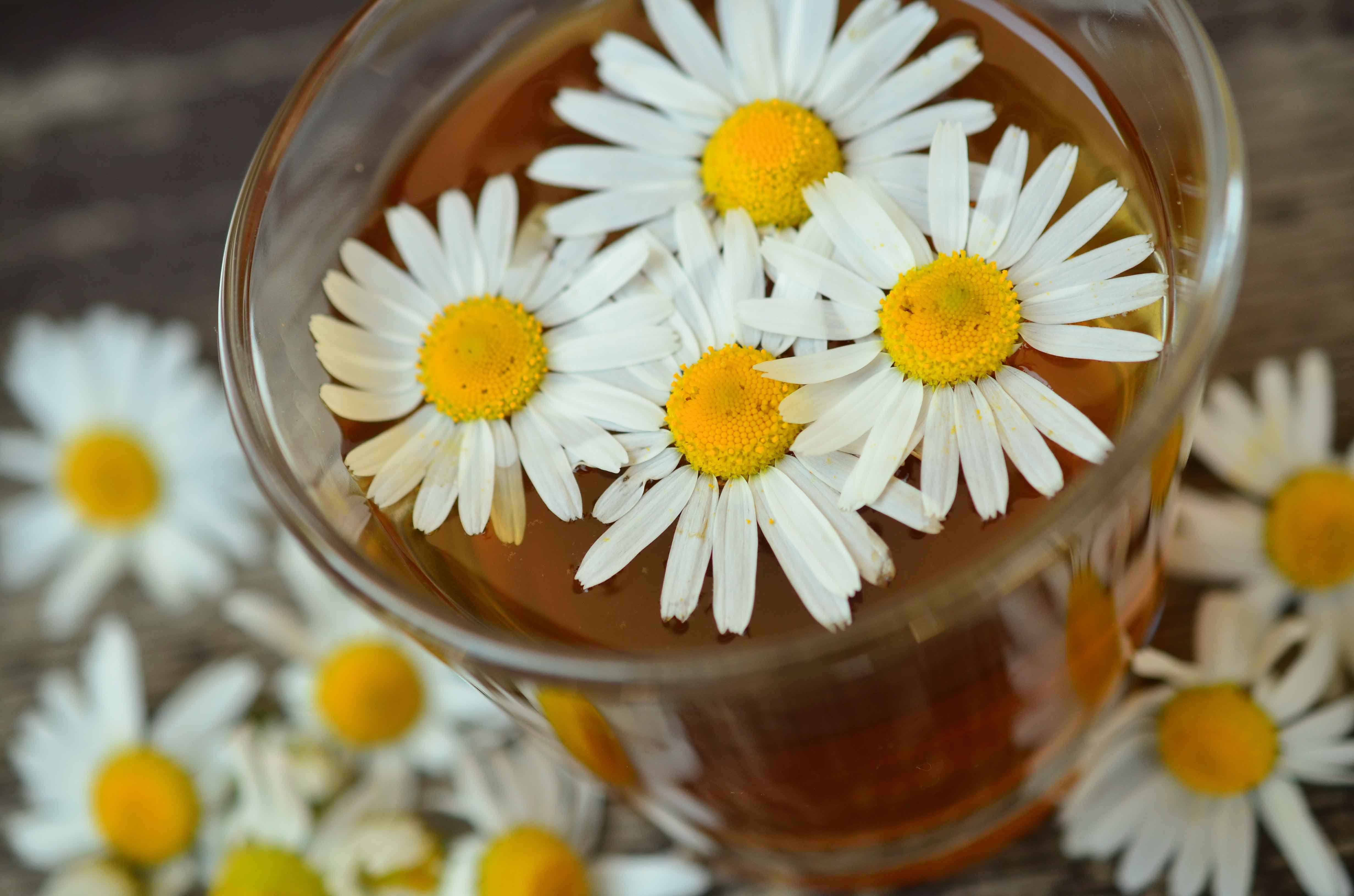 Agua de flores con margaritas encima