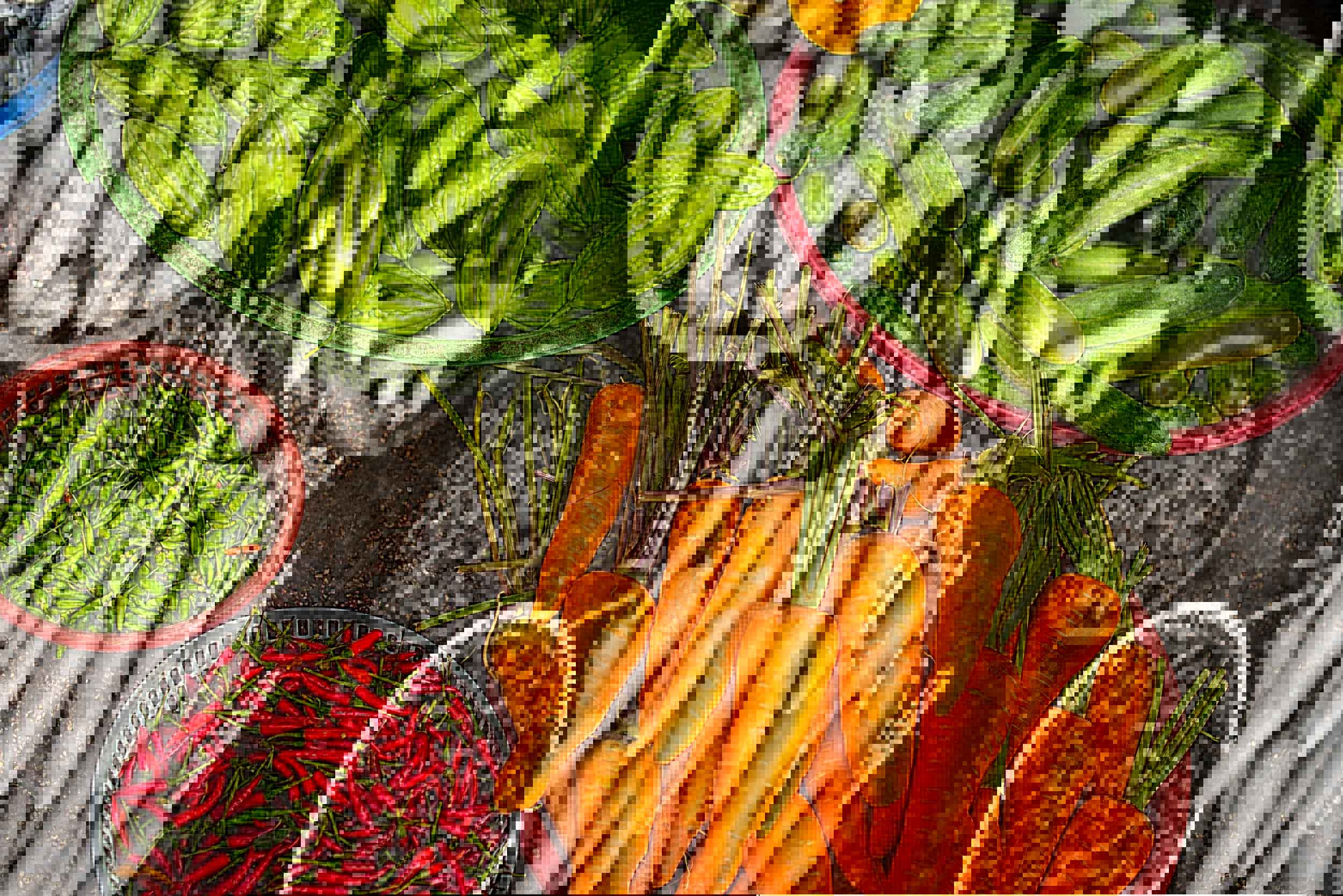 Materias primas de la huerta