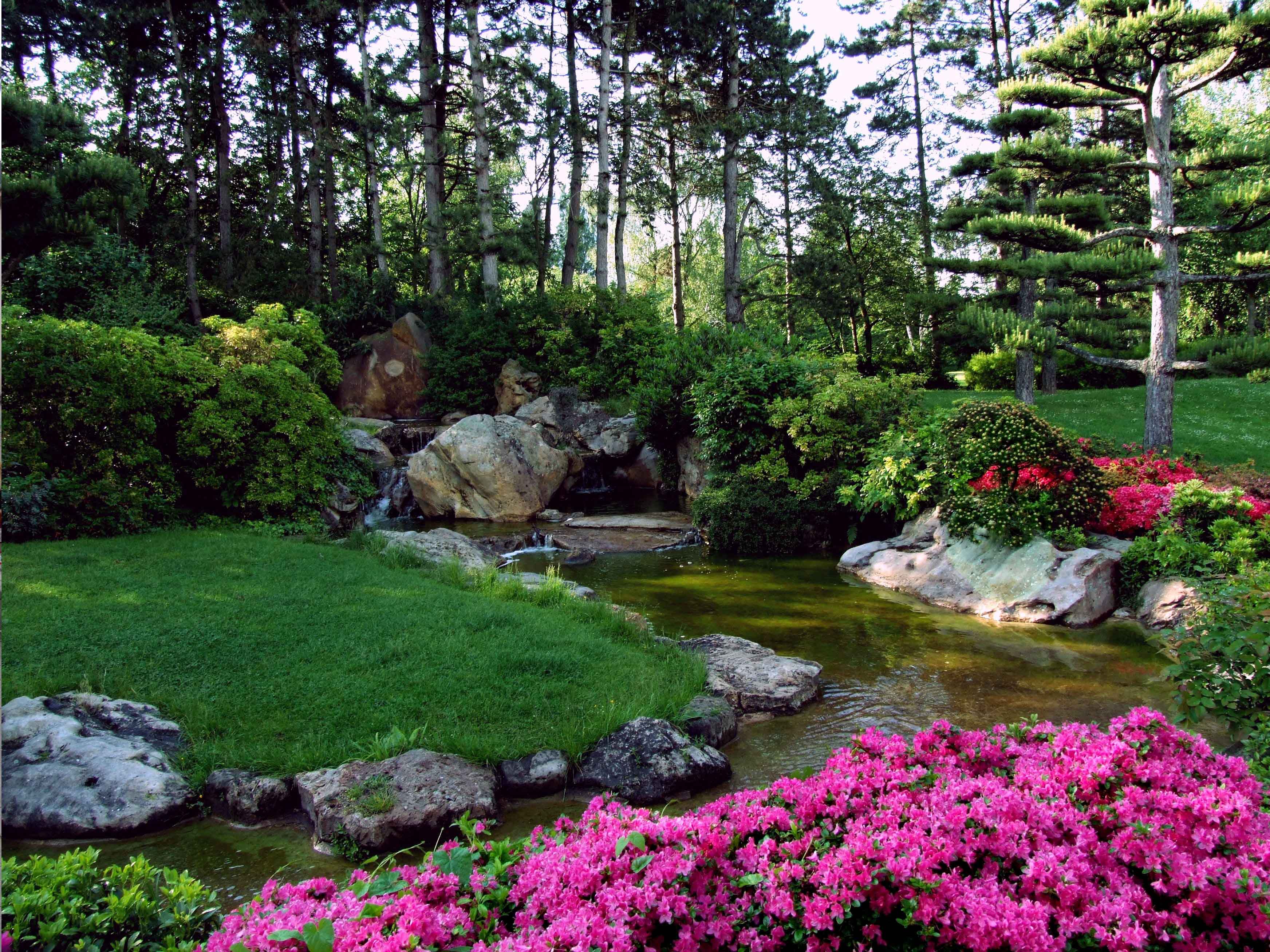 Jardín