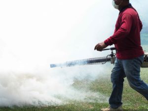Hombre fumigando jardín