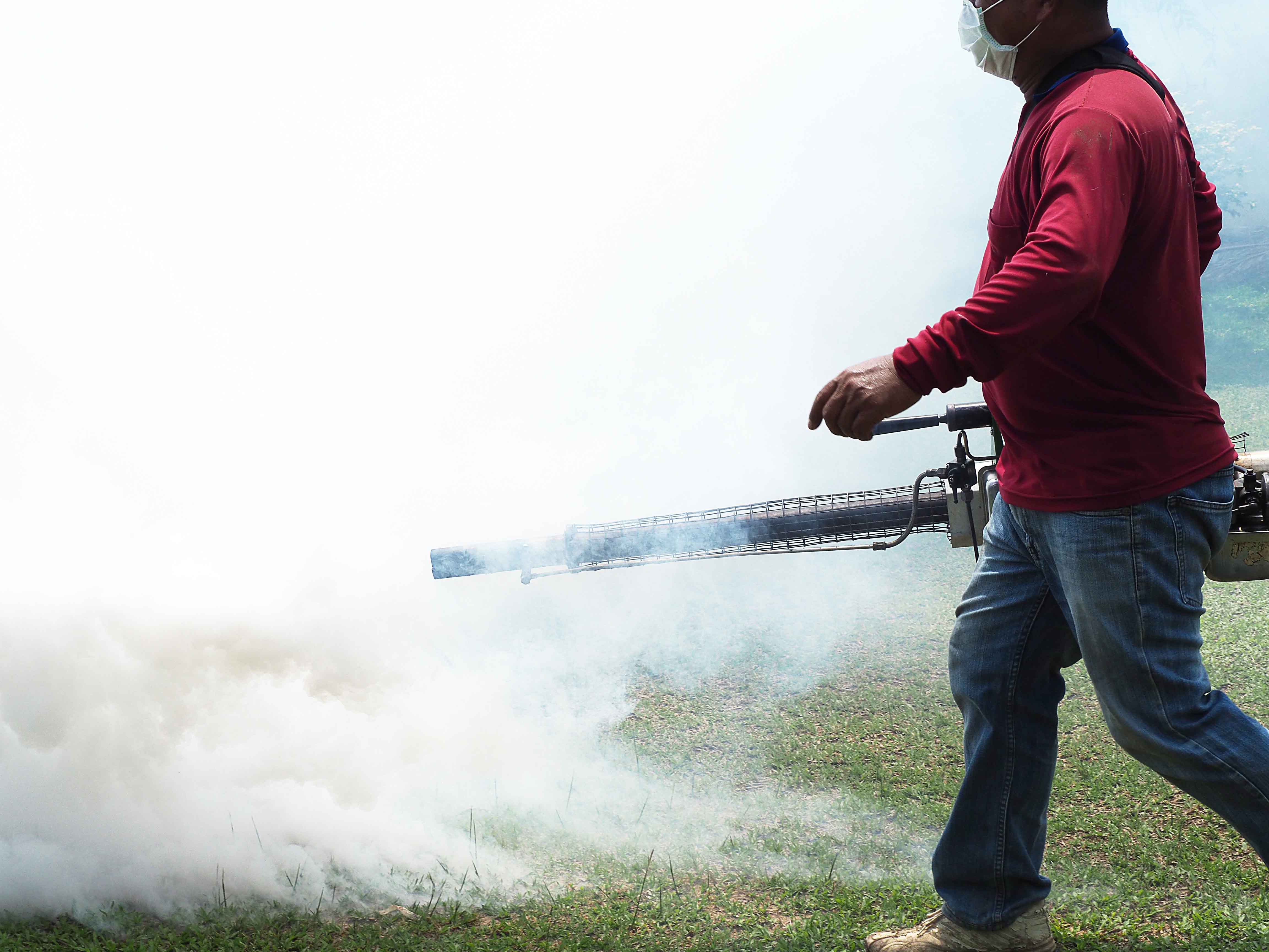 Hombre fumigando jardín