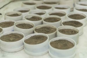 Muestras de terreno en recipientes de laboratorio