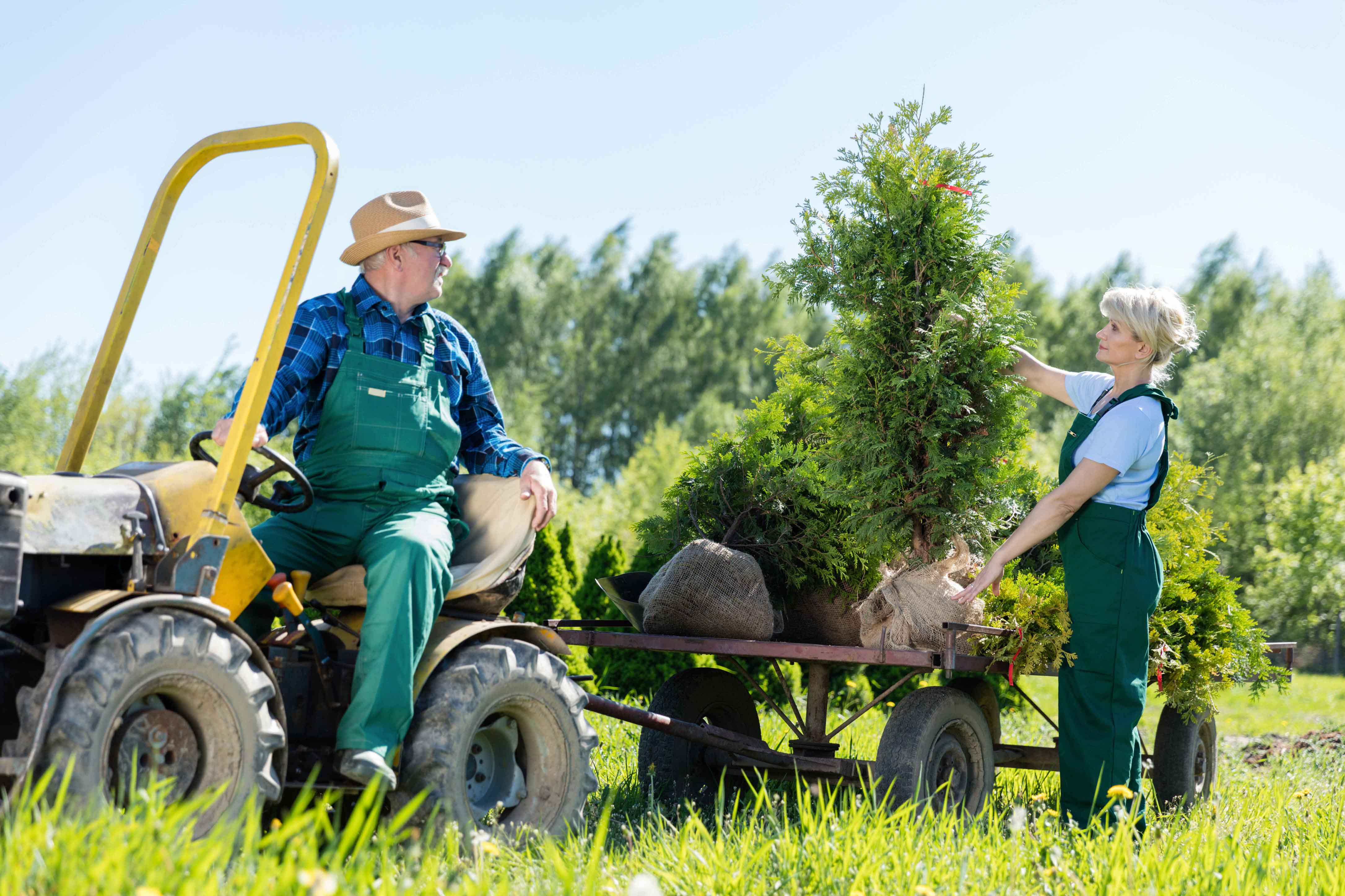 Pareja trabajando con un tractor en un campo