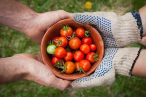 Manos sujetando cuenco con frutos