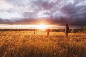 Tres chicos disfrutando de un atardecer en un campo de trigo