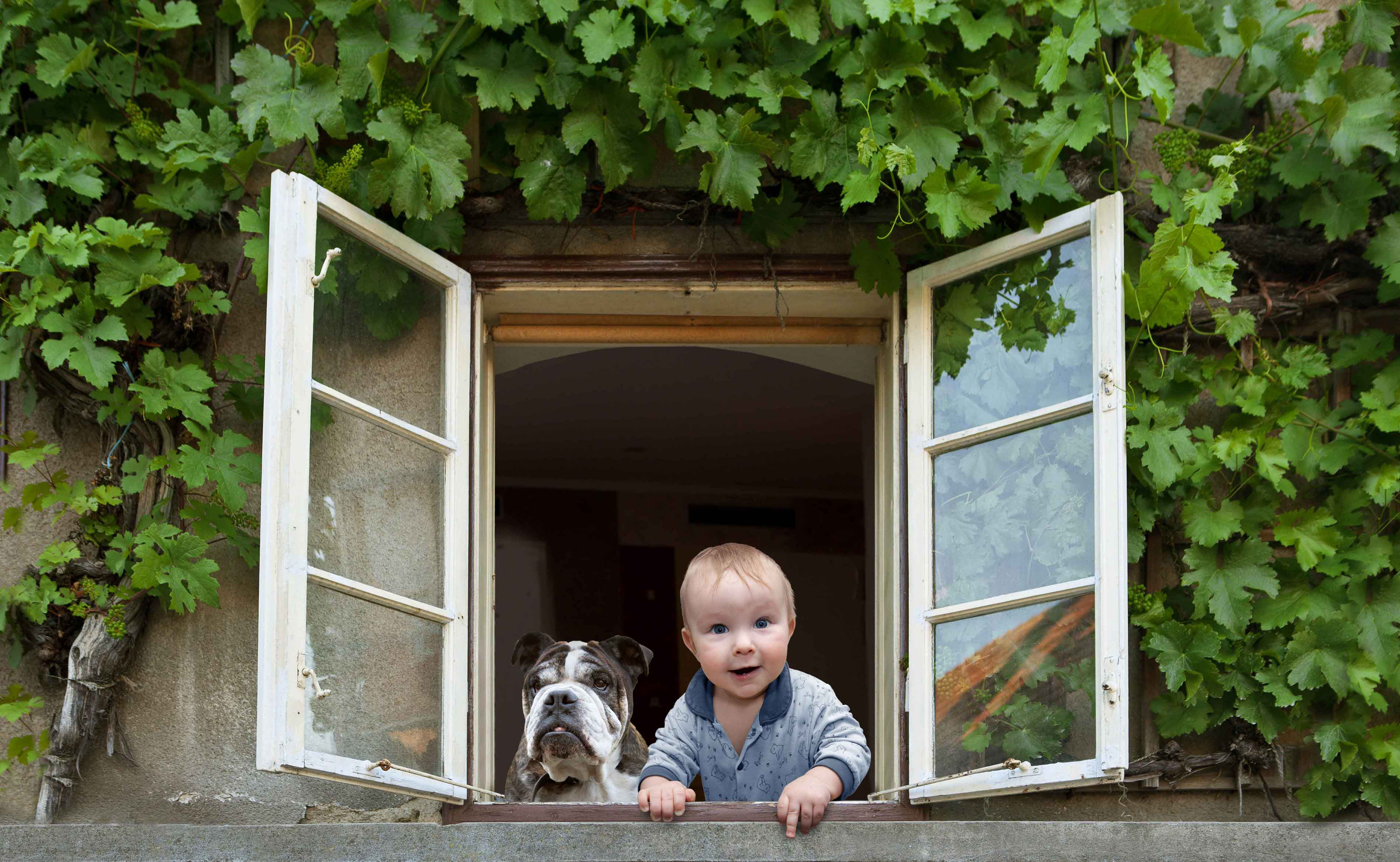 Bebé y perro asomándose por una ventana