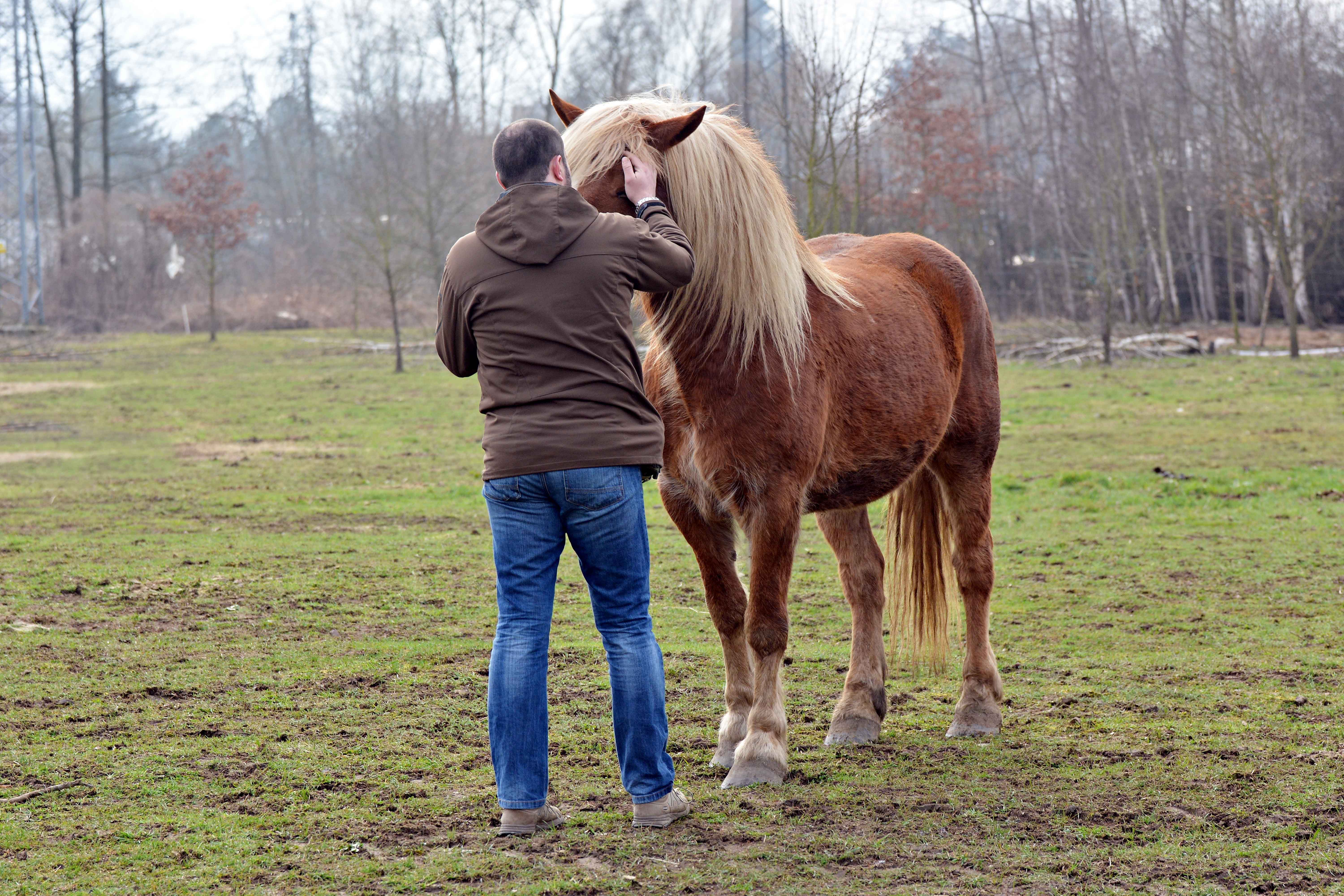 Hombre con caballo