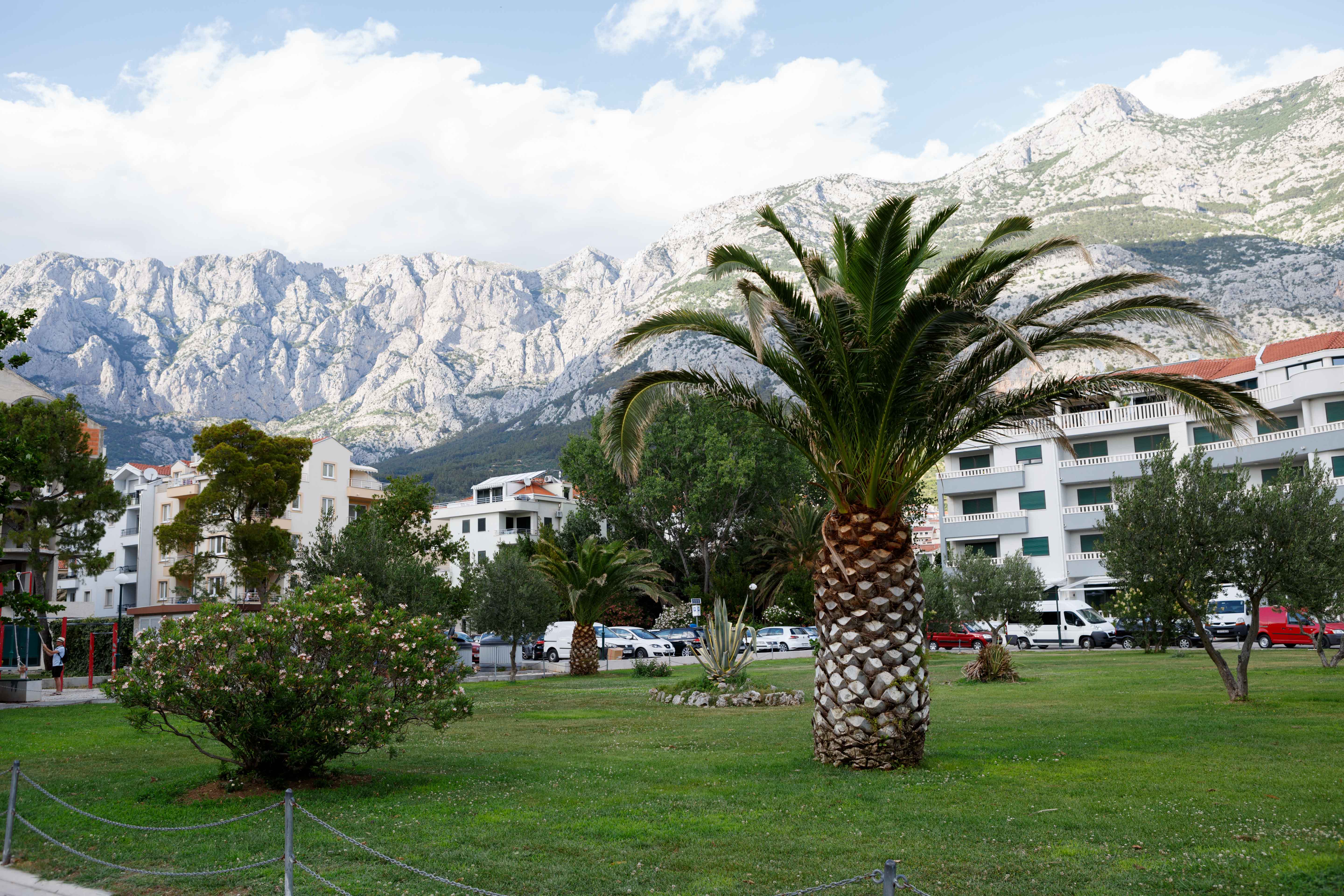Parque con jardín